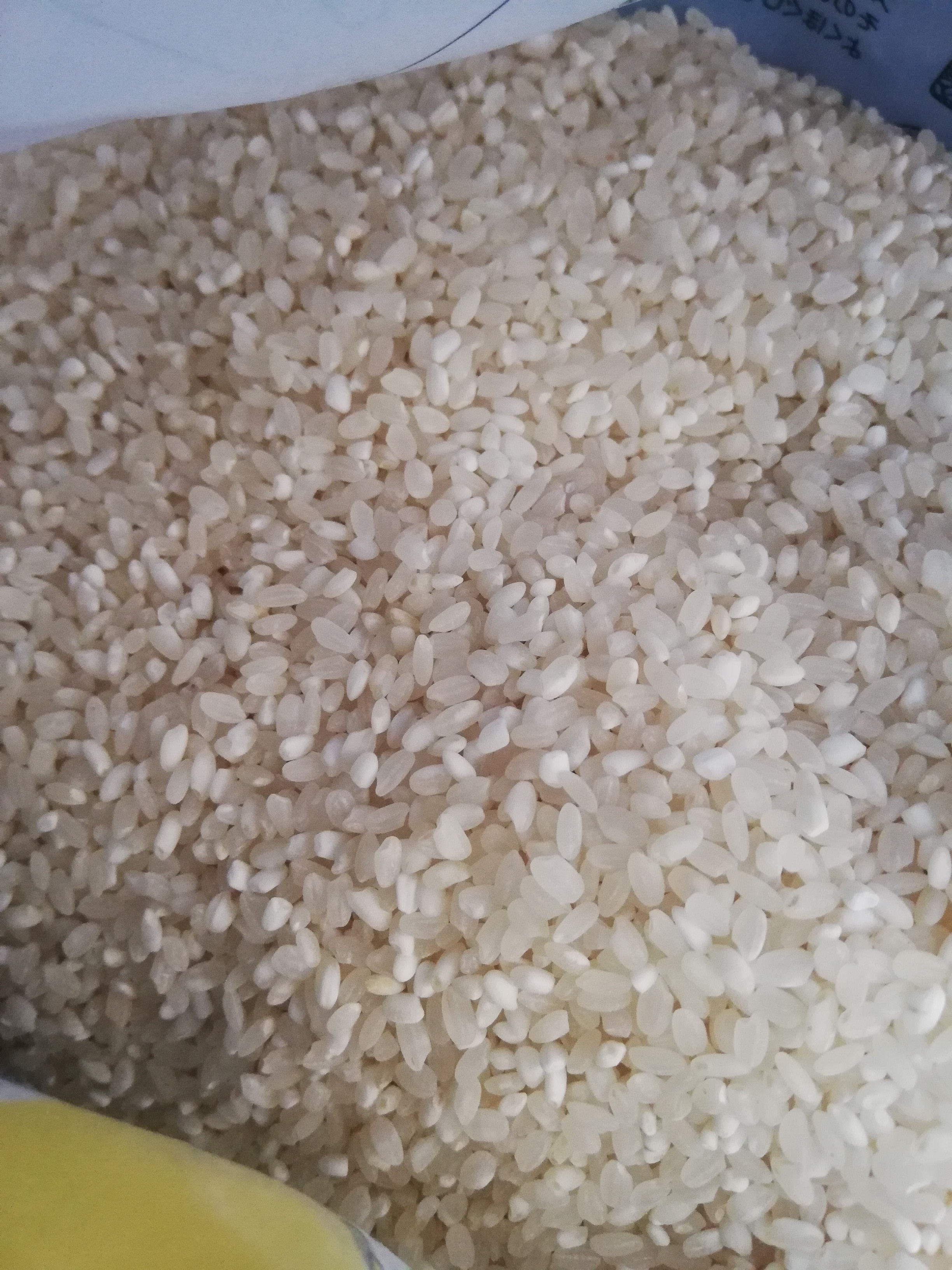 白濁化した米